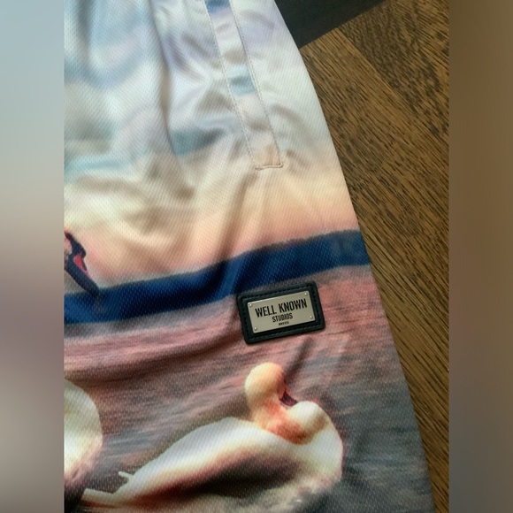 WELL KNOWN STUDIOS The Swan Family Shorts 7”  Men’s Size Large Street Wear NEW - Picture 6 of 13